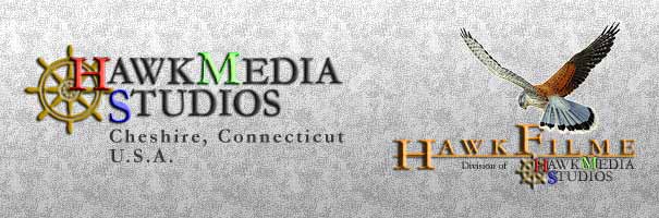 Current HawkMedia and HawkFilme logos