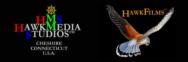 HawkFilme new logo